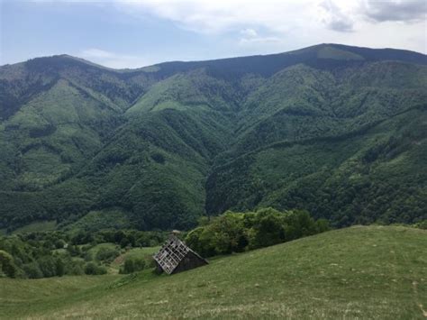 Valea Sadului Vârful Măgura Muntii Nostri