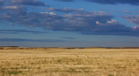 Montanas Northern Great Plains The Nature Conservancy