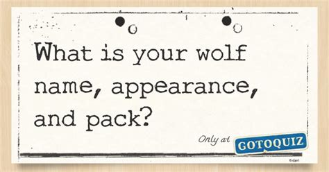 What Is Your Wolf Name Appearance And Pack