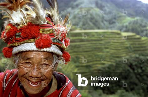 Woman Of The Ifugao Tribe On The Rice Terraces Of Banaue Northern Luzon Philippines Photo By