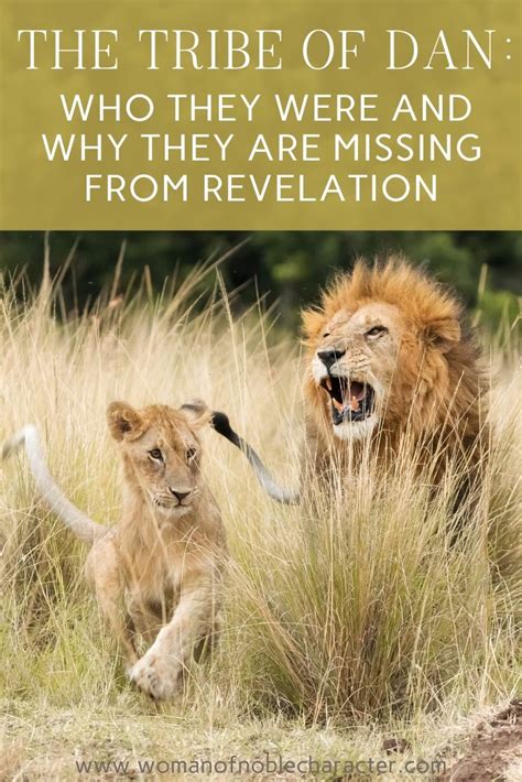 Maybe you would like to learn more about one of these? The Tribe of Dan: Who They Were and Why They are Missing ...