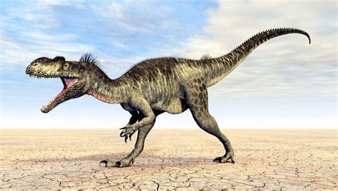 Top 10 Coolest Dinosaurs Of All Time Nayturr