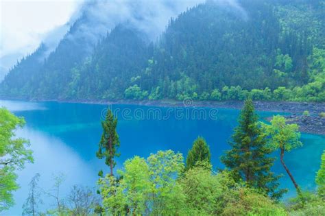Jiuzhaigou Lake And Forest Treesã€‚ Jiuzhaigou Is A Famous Natural