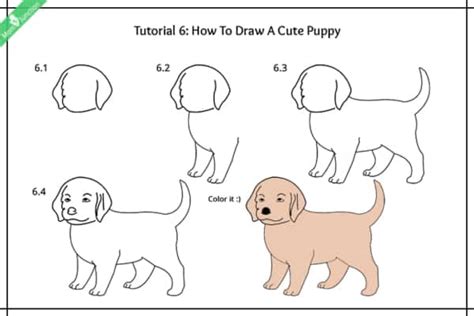 Como Desenhar Um Cachorro Como Desenhar Um Cachorro Formas F Ceis