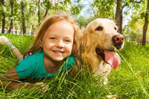 Are Golden Retrievers Good With Children Pooch Authority