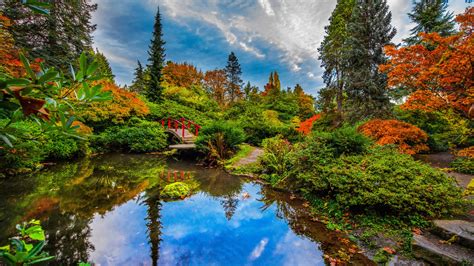 Japanese Garden With Reflection On Pond Seattle 4k 5k Hd