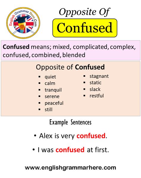Opposite Of Confused Antonyms Of Confused Meaning And Example