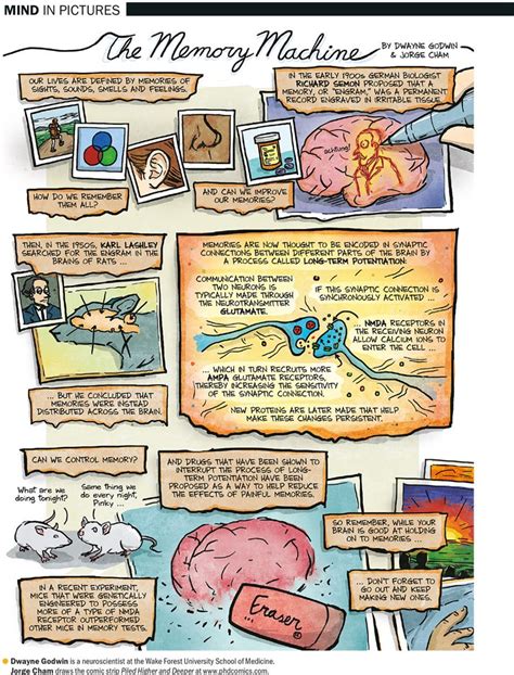 How The Brain Makes Memories Brain Based Learning Teaching