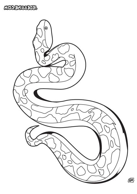 Dessin De Serpent 9 Snake Coloring Pages Pokemon Coloring Pages