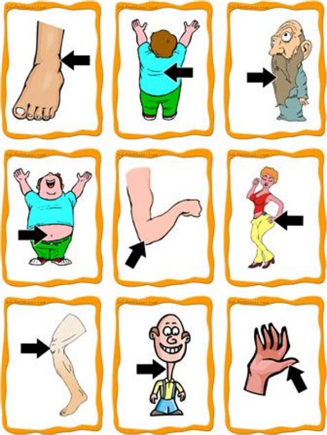 Body Part Clipart Hip And Other Clipart Images On Cliparts Pub™