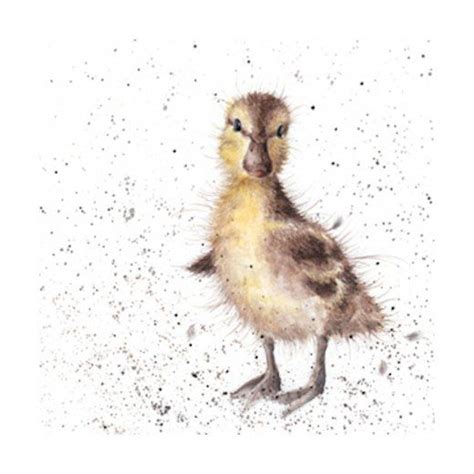 Wrendale Designs Just Hatched Card Wrendale Designs Watercolor