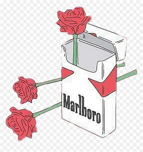 Cigarette Drawing Tumblr