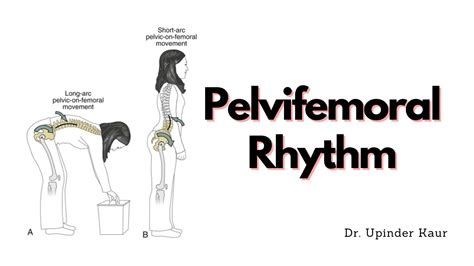 Pelvifemoral Rhythm Youtube