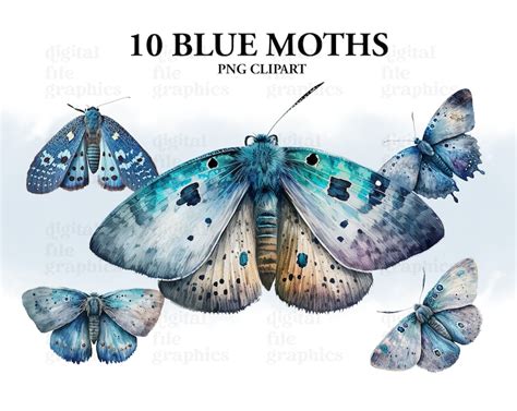 Blue Moths Watercolor Clipart Moths Fantasy Style Magical Etsy
