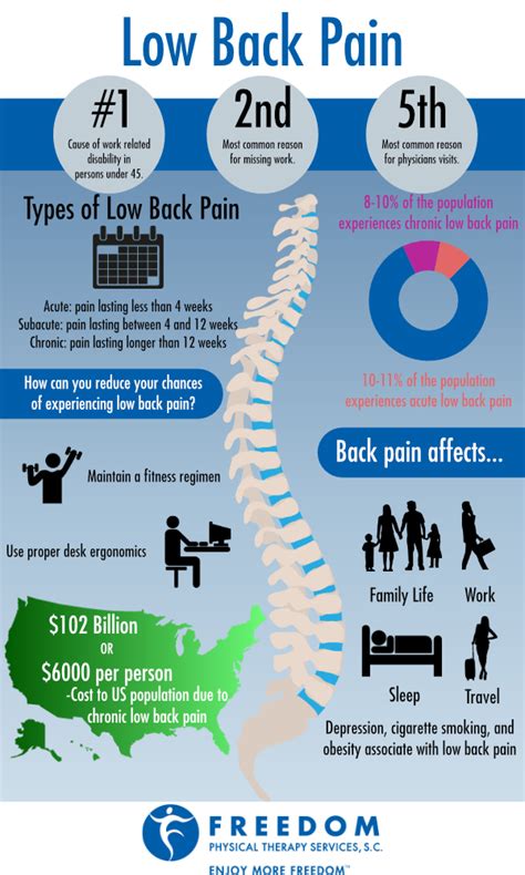 Low Back Pain Infographic Chronic Pain