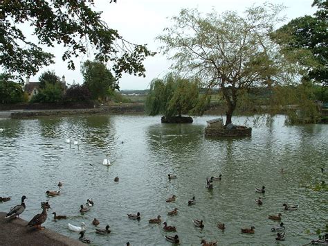 Flaxpits The Village Pond At © John Phillips Geograph Britain
