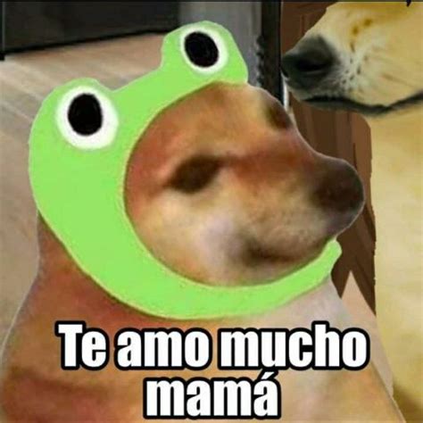 Euge Guzmán Current Mood Meme Memes Doge