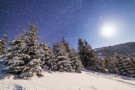 Premium Photo The Majestic Starry Sky Over The Winter Mountain
