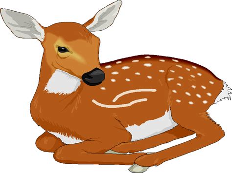 Fawn Clipart 20 Free Cliparts Download Images On Clipground 2022