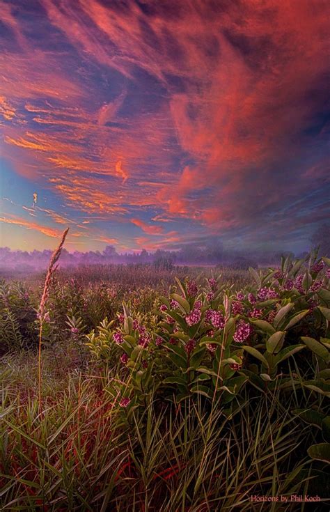 You Are My Life Wisconsin Horizons By Phil Koch Amazing Nature