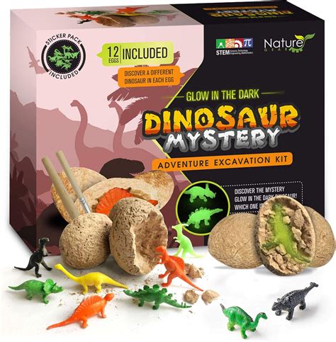 Amazon.com: Dino Dig Kit: STEM Science for Kids - Learn with Dinosaurs