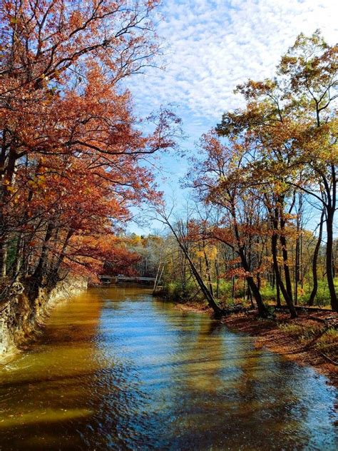 Beautiful Fall Scenery Fall Leaves Rocky River