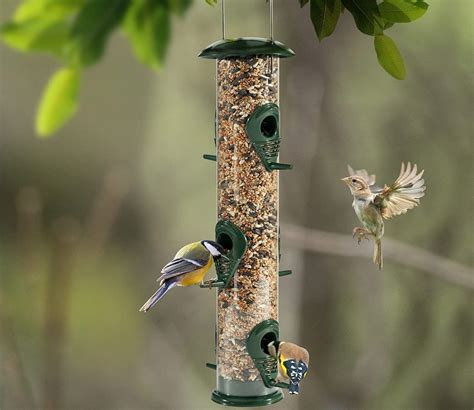 12 Types Of Bird Feeders Every Backyard Birder Should Know Bob Vila