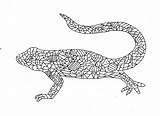 Coloring Lizard Adult Digital  sketch template