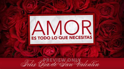 Amor Es Todo Lo Que Necesitas Title Graphics Igniter Media