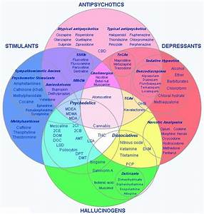 Drugs Categories In Graphic Chart Howdrugswork