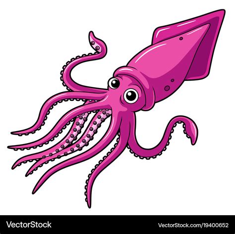 Cartoon Squid Royalty Free Vector Image Vectorstock