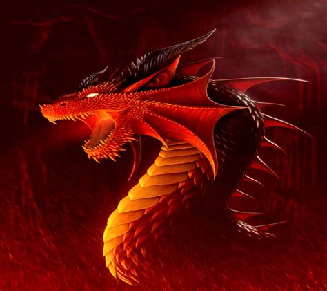 Red Fire Dragon Wallpapers Top Free Red Fire Dragon Backgrounds