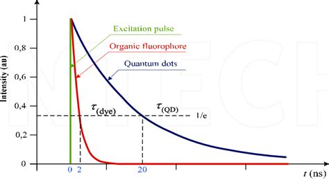 Fluorescence Lifetime Quantum Dots And Organic Fluorophore 19