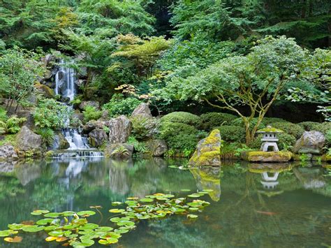 Jardín Japonés De Portland Oregón Datos Ubicación Horas