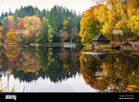 Autumn Colours On Woodland Foliage And Wooden Boathouse At Loch Dunmore