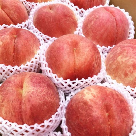 Japanese Sachiakane White Peach Jumbo — Momobud