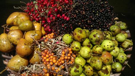 Super Simple Wild Fruit Leathers Galloway Wild Foods