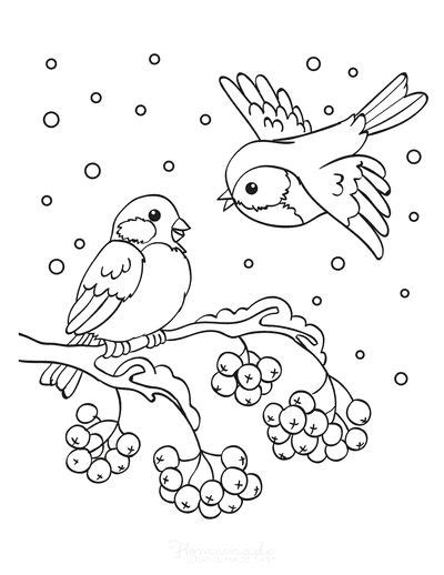 Free Printable Winter Coloring Pages for Kids & Adults | Bird coloring ...