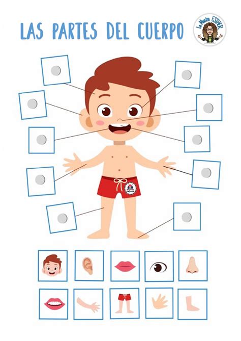 Body Parts Preschool Activities 5 Senses Activities Preschool