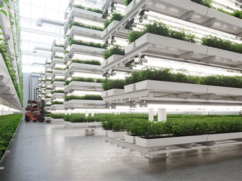 A Trusted Partner In The Assessment Of The Vertical Farming Systems