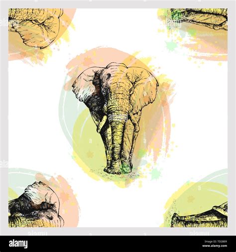 Nahtlose Muster Von Hand Gezeichnete Skizze Stil Elefant Auf Weißem