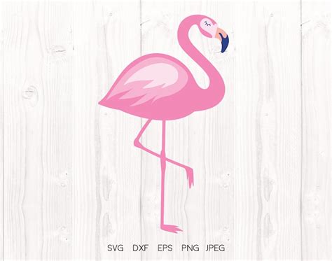 Flamingo Svg Pink Flamingo Cut File Beach Cutting Files Etsy