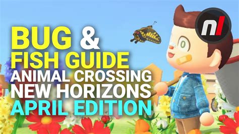 Bug And Fish Guide April Edition Animal Crossing New Horizons Youtube