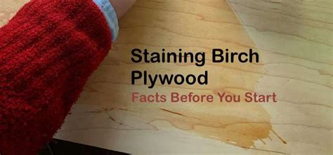 Staining Birch Plywood Facts Before You Start