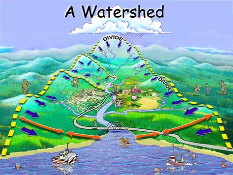 What Is A Watershed — Watershed Protection Programs