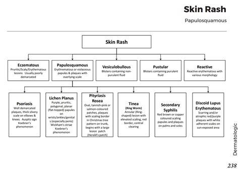 Papulosquamous Skin Rash Differential Diagnosis Algorithm