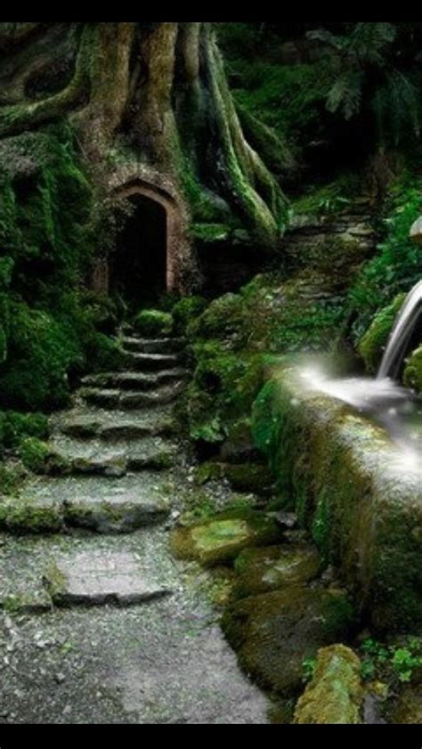 The 25 Best Magic Forest Ideas On Pinterest Magical Forest Mystical