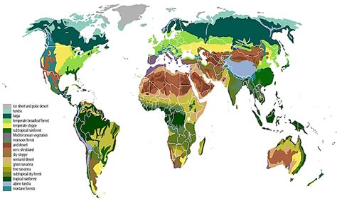 Tropical Grassland Biome Map