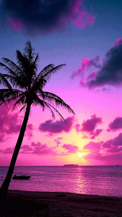 24 Tropical Sunset Iphone Wallpaper Bizt Wallpaper