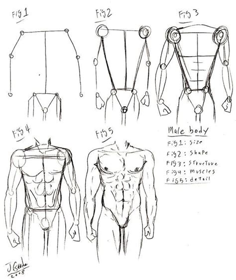 Basic Male Utter Body Tut By Destinyfall With Images Male Body